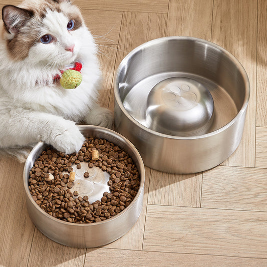 Double Layer Slow Feeder Pet Bowl with Non-Slip Base